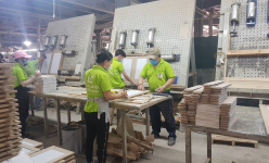 Tổng cục Hải quan cho doanh nghiệp xuất ván ghép thanh với thuế suất 0% sau văn bản gây tranh cãi