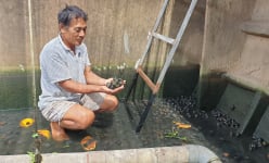 Clip: Bơi ra giữa sông Hồng 'đột nhập vương quốc' nuôi ốc nhồi dày đặc của 'chàng Robinson' kỳ lạ đất Thái Bình