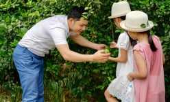 Nghệ An: Lạ đời, trai đẹp bỏ việc dầu khí ở Vũng Tàu về Nam Đàn trồng chanh, trồng chanh nhiều để làm gì?
