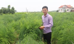 Bắc Ninh: Trồng 'rau vua', mít Thái, thả trai nhả ngọc dưới ao, chàng nông dân trẻ giàu nhanh
