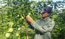 Hội Nông dân Lai Châu xứng đáng là điểm tựa của nông dân