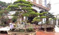 Nam Định: Trồng cây cảnh độc, lạ theo kiểu dây chuyền, nông dân nơi này xây được nhà cao cửa rộng