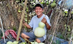 Tây Ninh: Ông nông dân 'hô biến' loại quả thắt đáy lưng ong thành hàng loạt sản phẩm nghệ thuật, cả làng mê tít