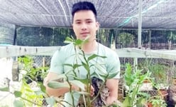 Lào Cai: Hotboy núi rừng làm giàu từ nghề trồng lan phi điệp, gia tài là vườn lan rừng vạn người mê