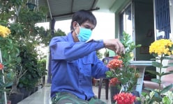 Trai làng tỉnh Đồng Tháp kỳ công trồng nhiều giống hoa lạ, cây bé xíu bán giá bạc triệu