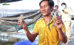 Biến vùng đất sa mạc thành ao nuôi tôm càng xanh ở Ninh Thuận, chàng trai nông dân Chăm trở thành tỷ phú
