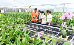 Xây dựng nông thôn mới Hà Nội: Hướng mạnh tới đô thị hóa, đời sống người dân thêm sung túc