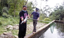 Lai Châu: Vùng đất này có những dòng nước mát lạnh, dân xây bể nuôi thứ cá lạ mà khá giả