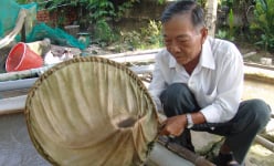 Tiền Giang: Thương loài cá đặc sản miền Tây sắp tuyệt chủng, ông nông dân bắt về ương giống, bất ngờ giàu to