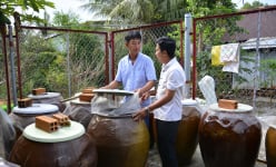 Kiên Giang: Nước mắm đồng làm từ cá gì mà ông nông dân làm ra đến đâu đều có người 'khuân' đi hết?