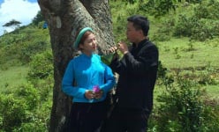 Quảng Ninh: Vùng đất Đồi Tình nam nữ hát xướng ca, da diết nhất là 'yêu nhau mà không đến được với nhau'