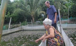 Long An: Mít Thái chung vườn với khóm, ếch chung ao với cá, nhà nông không chỉ khá mà còn đổi đời luôn