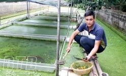 Thái Bình: Nuôi con chỉ có ăn với đẻ, 4 tháng ngủ đông mà mỗi năm ông chủ vẫn thu mấy trăm triệu đồng