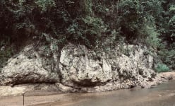 Phê duyệt phương án nộp tiền trồng rừng thay thế tại dự án Thủy điện Sông Âm