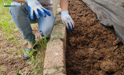 Bí quyết nuôi giun năng suất cao, tiết kiệm chi phí của triệu phú nông dân 9X
