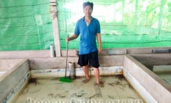 Sóc Trăng: Một ông nông dân hé lộ bí quyết nuôi lươn không bùn đạt tiêu chuẩn xuất khẩu sang thị trường Nhật Bản