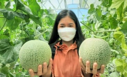 Du xuân đầu năm về Bạc Liêu 'sống ảo' trong vườn dưa lưới công nghệ cao đẹp như phim của Hội Nông dân