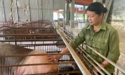Nông dân Việt Nam xuất sắc từ Cao Bằng: Từ bán đậu phụ dạo thành nữ tỷ phú có tài sản trị giá 20 tỷ