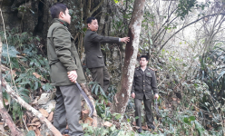 Kiểm lâm Thái Nguyên tăng cường công tác phòng cháy chữa cháy rừng trong mùa hanh khô