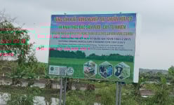 Con rươi bơi trên đồng, nông dân An Thanh ở Hải Dương vừa vớt lên bờ thương lái đã hốt sạch