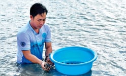 Nuôi con đặc sản chìm dưới đáy bùn, chả phải cho ăn, cứ 2ha nông dân nơi này của Cà Mau lời 500 triệu