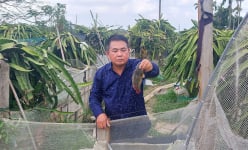 'Ôm đồm' nuôi 4 con đặc sản trên cạn, 2 con đặc sản dưới nước, ông nông dân Hải Phòng có 700 triệu/năm