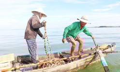 Mẹo hay: Dùng vỏ sò đuổi bắt loài cá đặc sản của lòng hồ Trị An