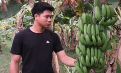 Trai làng Thanh Hóa bỏ giấc mơ sang Nhật về quê gom 10 ha đất, trồng cây gì, nuôi con gì mà thu tiền tỷ?