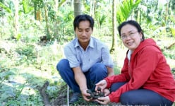 Đào rãnh trong vườn nuôi ốc bươu đen, trên nuôi loài gà cũng đen, nông dân Sóc Trăng có thu nhập 'đỏ'
