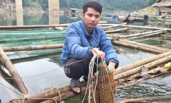 Bí kíp đặt rọ bẫy tôm đồng kiếm nửa triệu đồng/ngày của một ngư dân miền núi Thanh Hóa