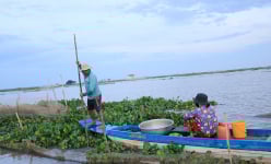 Đổ dớn bắt cá đặc sản nơi đầu nguồn An Giang, còn đâu cảnh cá chạy dày đặc, mua được cả tấn