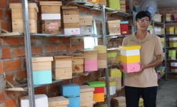 Tình cờ phát hiện loài côn trùng nhỏ tí ti, 9X Ninh Thuận đóng thùng be bé nuôi la liệt khiến cả làng phục lăn