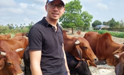 Hải Phòng: Cất bằng đại học, bỏ lương cao, trai Hải Phòng về nuôi bò trên đồng hoang, cả làng tấm tắc