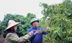 Thật bất ngờ, người đầu tiên góp công mang 'kho báu' 7.000 tỷ lên Bắc Giang là một ông nông dân tên Trụ