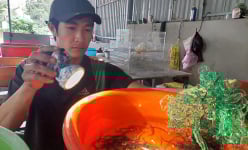 Nuôi thành công lươn không bùn, lại cho lươn đẻ 'mẹ tròn con vuông', anh nông dân Bình Định thu hàng trăm triệu