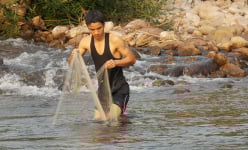 Tìm bắt loài cá đặc sản chạy thành đàn dưới sông Đakrông ở Quảng Trị, nhà giàu cũng săn lùng