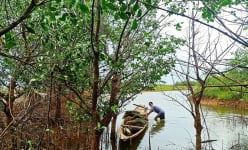 Ở thành phố này của Nghệ An tồn tại khu rừng mọc toàn cây gì mà bên trong có cả cá sủ vàng quý hiếm?