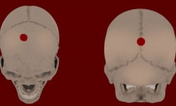 Hài cốt thiếu nữ tiết lộ thứ quyền lực rùng rợn của đế chế Inca