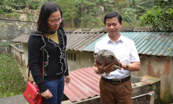 Nuôi ba ba lớn đến đâu, bán hết đến đó, nông dân rủ nhau thành lập HTX Chăn nuôi ba ba gai Yên Bái 