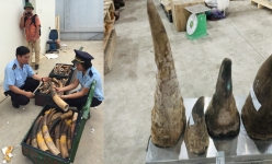 Trong 5 năm, chưa một kẻ đứng sau các tấn hàng buôn bán động vật hoang dã bị bắt