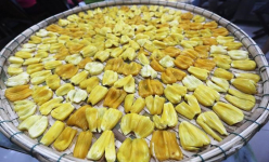 Có một nơi ở Quảng Nam, đến mùa mít chín, ăn không hết, bán lại rẻ, người dân phơi khô làm đặc sản