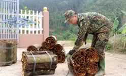 Chuyện lạ Phú Thọ, trai, gái làng này thoát ế ngoạn mục nhờ trồng thứ cây thơm 'toàn tập', có nhà thu tiền tỷ