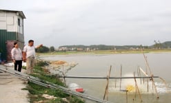 Làng biệt thự toàn nhà giàu ở Bắc Giang, dân chỉ làm 2 nghề, cai thầu xây dựng hoặc đi buôn cá