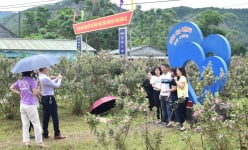 Cả làng này ở Móng Cái của Quảng Ninh trước quen quen, nay lạ lắm khiến dân tình kéo đến xem điều gì?