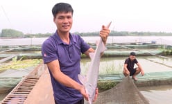 Nuôi thành công cá tầm-dòng cá nước lạnh trên sông Đuống ở Bắc Ninh