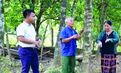 Một nông dân Quảng Trị suốt mấy chục năm 'cầm tay chỉ việc' giúp đồng bào 'chôn kho báu' trong rừng