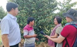Chính quyền và người dân nói gì về Agribank chi nhánh Long An?