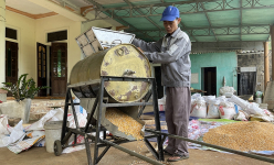 Cả làng ở Quảng Trị phục tài sáng chế máy tách hạt ngô tự động của anh nông dân bỏ phố về quê