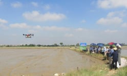 Máy bay không người lái sạ lúa vèo vèo, mặt ruộng không dấu chân, nông dân Bắc Ninh kéo ra xem