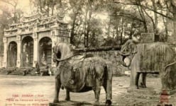 Con ngựa trong các khu lăng mộ vua Nguyễn biểu tượng cho điều gì?
